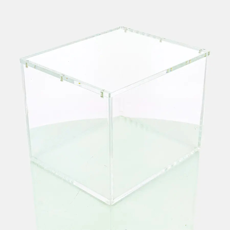 Protection Acrylique Display 10 Mini Tin Pokémon - Phoenix Shield