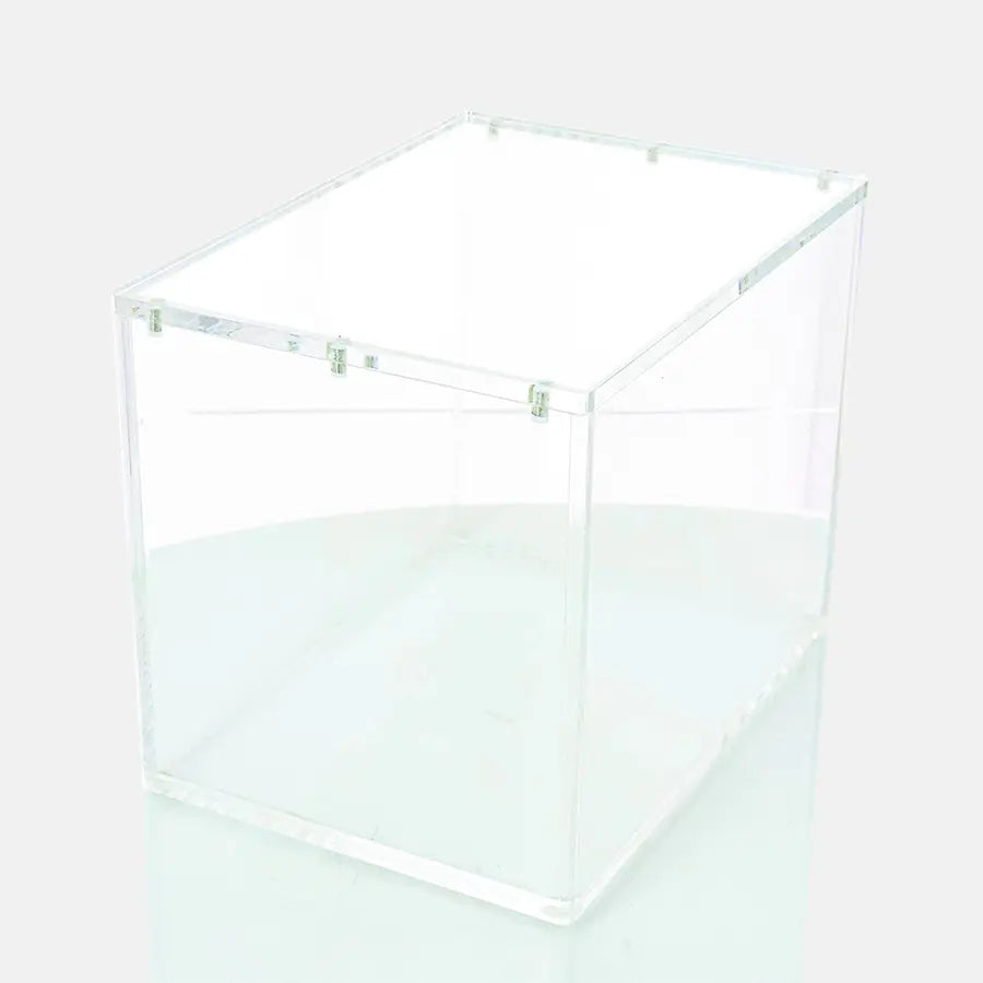Protection Acrylique Display 8 Mini Tin Pokémon - Phoenix Shield