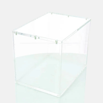 Protection Acrylique Display 8 Mini Tin Pokémon - Phoenix Shield